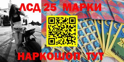 кокс Донской